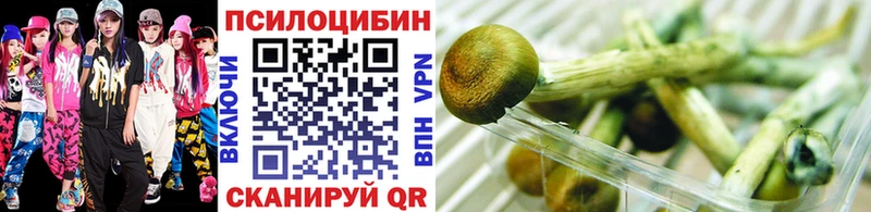 Галлюциногенные грибы Cubensis Старая Русса
