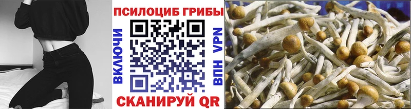 сколько стоит OMG рабочий сайт Галлюциногенные грибы прущие грибы Старая Русса